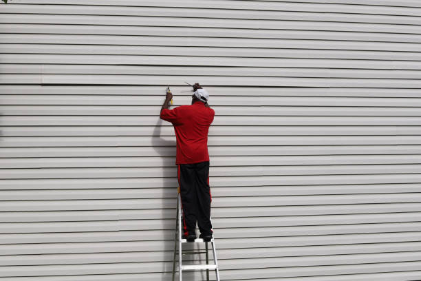 Best Siding for Commercial Buildings  in Rome, IL