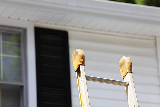 Best Composite Siding  in Rome, IL