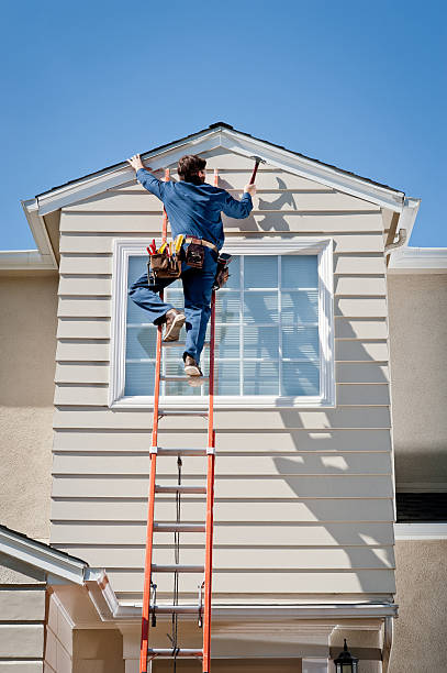 Best Siding Removal and Disposal  in Rome, IL